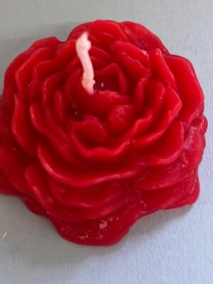 Rosentraum