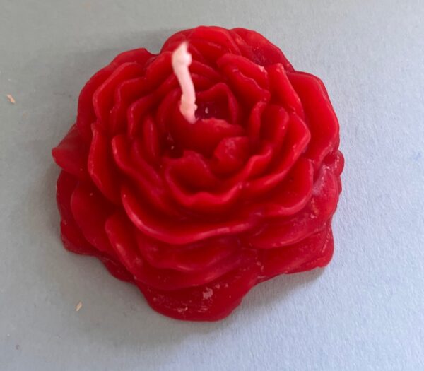 Rosentraum