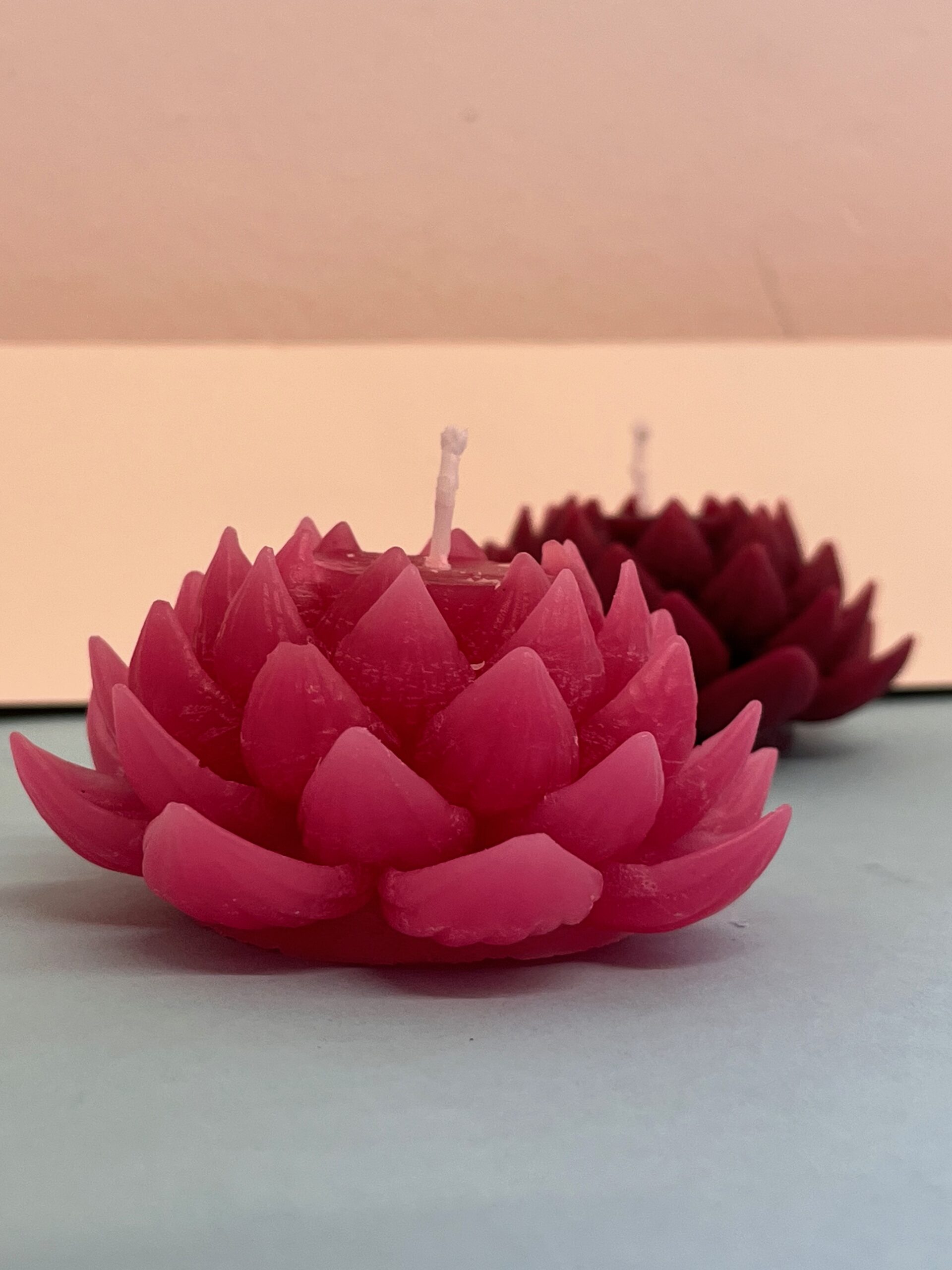 Lotus Licht