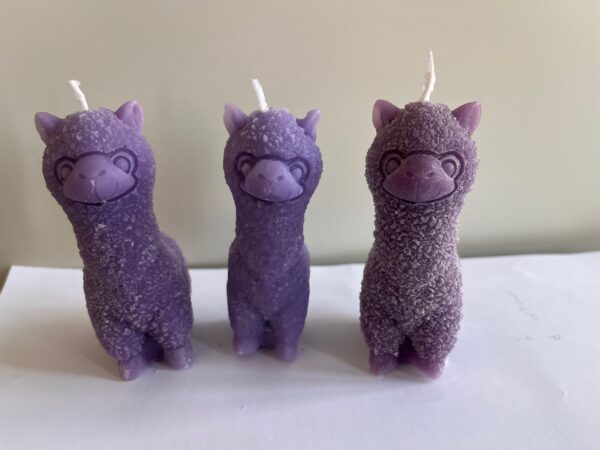 Lama joy – Bild 2