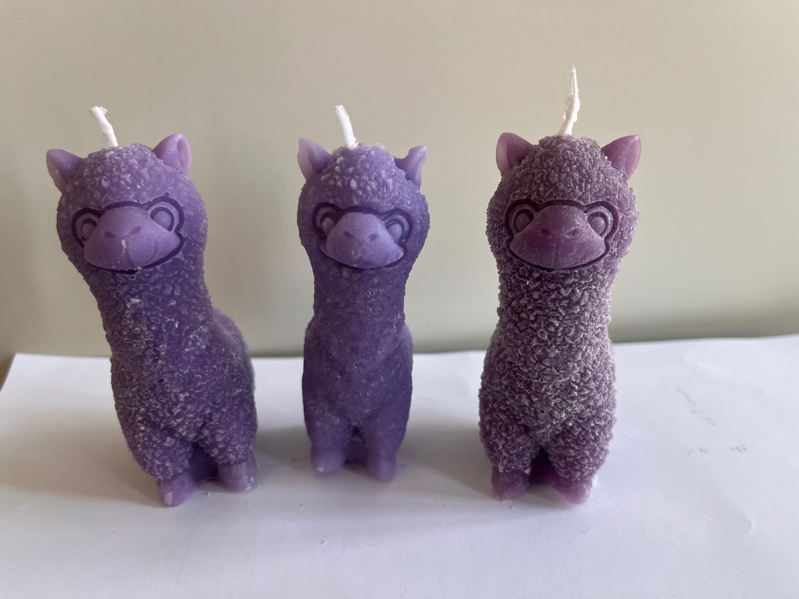 Lama joy