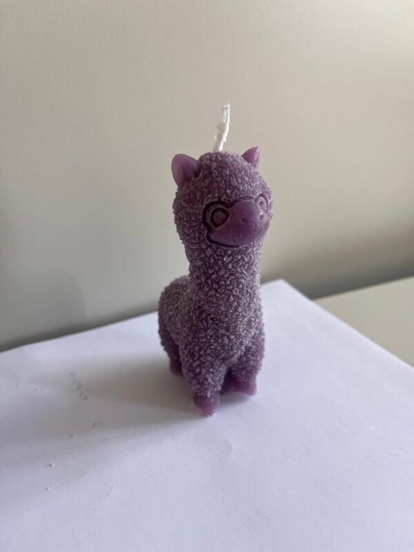 Lama joy – Bild 3