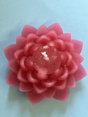 Lotus Licht