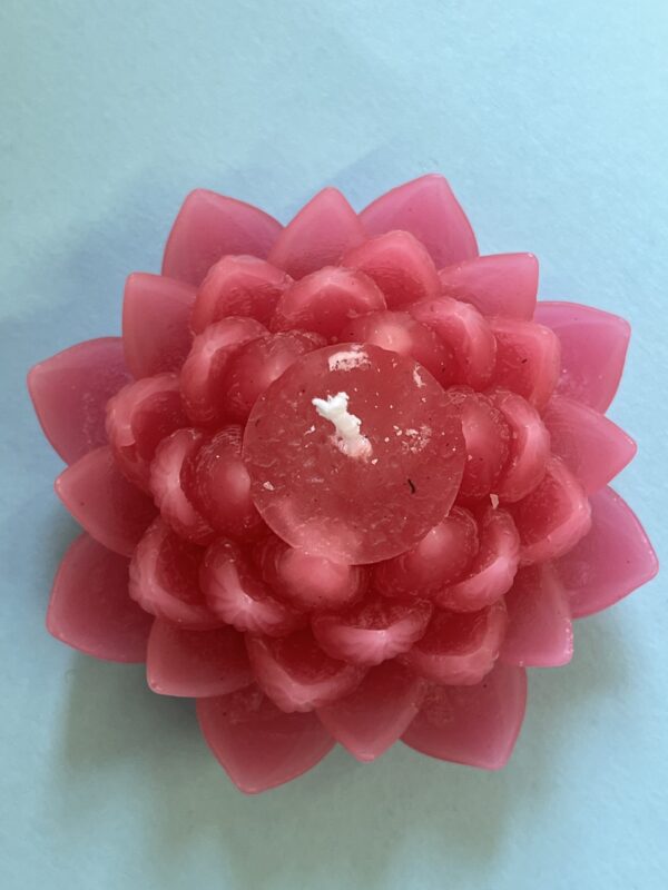 Lotus Licht