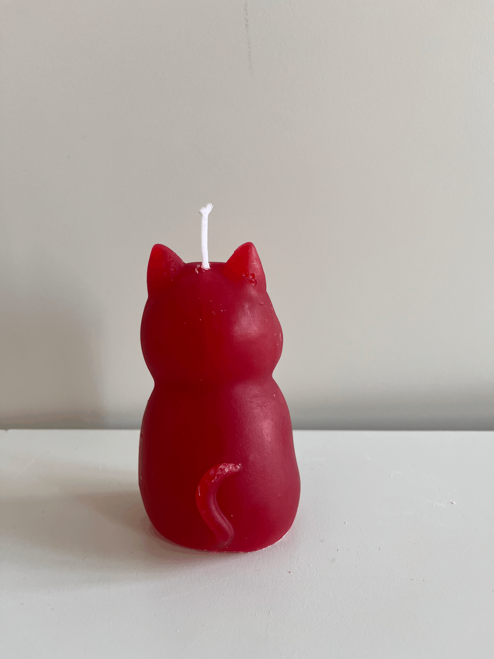 Katze