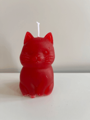 Katze
